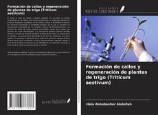 Couverture de Formación de callos y regeneración de plantas de trigo (Triticum aestivum)
