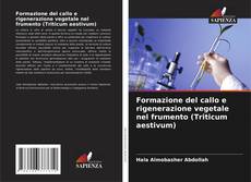 Formazione del callo e rigenerazione vegetale nel frumento (Triticum aestivum)的封面