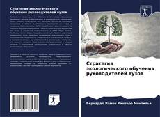 Buchcover von Стратегия экологического обучения руководителей вузов