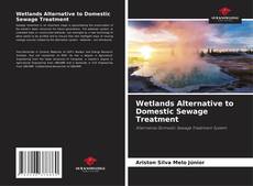 Wetlands Alternative to Domestic Sewage Treatment kitap kapağı