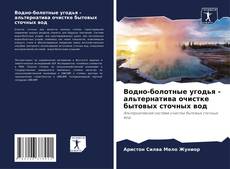 Bookcover of Водно-болотные угодья - альтернатива очистке бытовых сточных вод