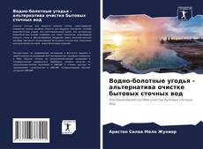 Portada del libro de Водно-болотные угодья - альтернатива очистке бытовых сточных вод