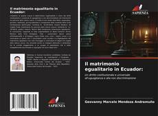 Bookcover of Il matrimonio egualitario in Ecuador:
