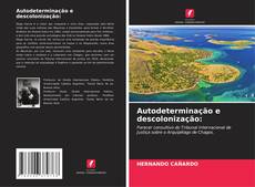 Buchcover von Autodeterminação e descolonização: