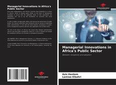 Managerial Innovations in Africa's Public Sector kitap kapağı