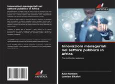 Обложка Innovazioni manageriali nel settore pubblico in Africa