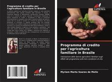 Buchcover von Programma di credito per l'agricoltura familiare in Brasile