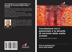 Buchcover von Correlazione tra il potenziale e la densità di corrente delle malte armate