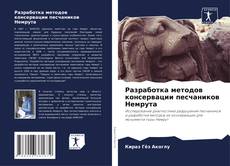 Buchcover von Разработка методов консервации песчаников Немрута
