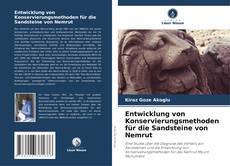 Buchcover von Entwicklung von Konservierungsmethoden für die Sandsteine von Nemrut