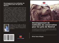 Développement de méthodes de conservation pour les grès de Nemrut kitap kapağı