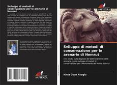 Copertina di Sviluppo di metodi di conservazione per le arenarie di Nemrut