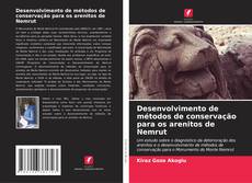 Capa do livro de Desenvolvimento de métodos de conservação para os arenitos de Nemrut 