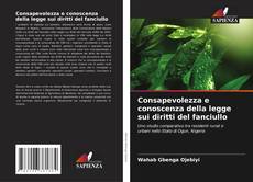 Buchcover von Consapevolezza e conoscenza della legge sui diritti del fanciullo