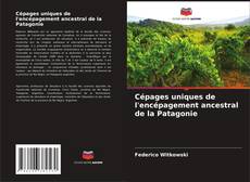 Portada del libro de Cépages uniques de l'encépagement ancestral de la Patagonie