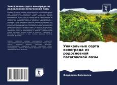 Bookcover of Уникальные сорта винограда из родословной патагонской лозы