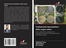 Copertina di Trattamento fotocatalitico delle acque reflue