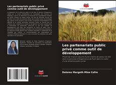 Buchcover von Les partenariats public privé comme outil de développement