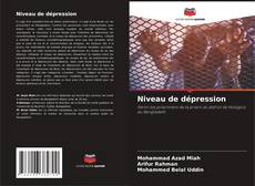 Capa do livro de Niveau de dépression 