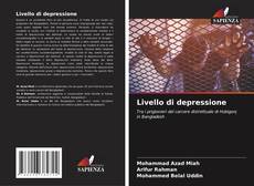 Livello di depressione kitap kapağı