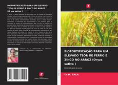 Couverture de BIOFORTIFICAÇÃO PARA UM ELEVADO TEOR DE FERRO E ZINCO NO ARROZ (Oryza sativa )