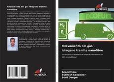 Rilevamento del gas idrogeno tramite nanofibre的封面