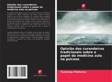 Bookcover of Opinião dos curandeiros tradicionais sobre o papel da medicina zulu na psicose