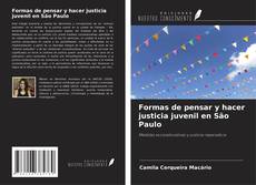Capa do livro de Formas de pensar y hacer justicia juvenil en São Paulo 
