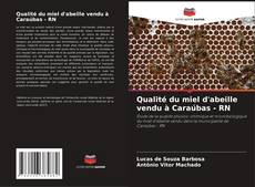 Bookcover of Qualité du miel d'abeille vendu à Caraúbas - RN