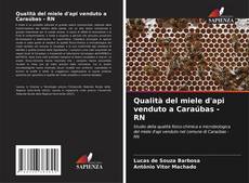 Copertina di Qualità del miele d'api venduto a Caraúbas - RN