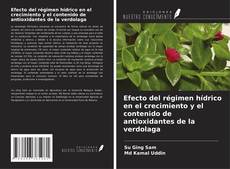 Bookcover of Efecto del régimen hídrico en el crecimiento y el contenido de antioxidantes de la verdolaga