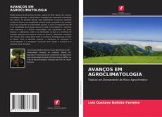 Buchcover von AVANÇOS EM AGROCLIMATOLOGIA