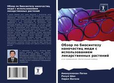 Bookcover of Обзор по биосинтезу наночастиц меди с использованием лекарственных растений