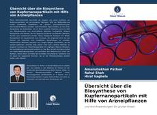 Übersicht über die Biosynthese von Kupfernanopartikeln mit Hilfe von Arzneipflanzen kitap kapağı