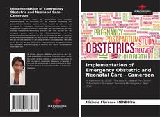 Implementation of Emergency Obstetric and Neonatal Care - Cameroon kitap kapağı