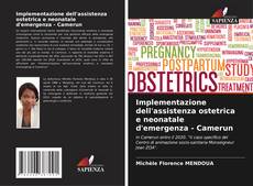 Bookcover of Implementazione dell'assistenza ostetrica e neonatale d'emergenza - Camerun
