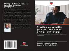Stratégie de formation pour les tuteurs de la pratique pédagogique kitap kapağı