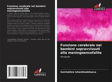 Copertina di Funzione cerebrale nei bambini sopravvissuti alla meningoencefalite