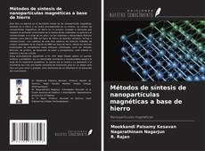 Copertina di Métodos de síntesis de nanopartículas magnéticas a base de hierro