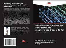 Copertina di Méthodes de synthèse de nanoparticules magnétiques à base de fer
