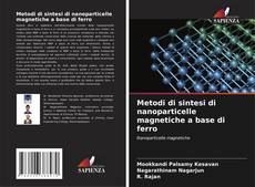 Обложка Metodi di sintesi di nanoparticelle magnetiche a base di ferro