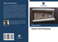 Couverture de Biobío Süd Mündung