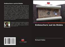 Portada del libro de Embouchure sud du Biobío