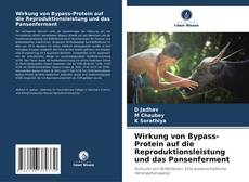 Couverture de Wirkung von Bypass-Protein auf die Reproduktionsleistung und das Pansenferment