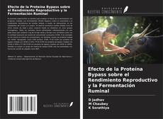Buchcover von Efecto de la Proteína Bypass sobre el Rendimiento Reproductivo y la Fermentación Ruminal