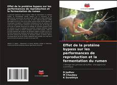 Bookcover of Effet de la protéine bypass sur les performances de reproduction et la fermentation du rumen