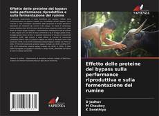 Portada del libro de Effetto delle proteine del bypass sulla performance riproduttiva e sulla fermentazione del rumine