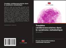 Copertina di Troubles cérébrovasculaires dans le syndrome métabolique