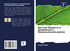 Bookcover of Детская бедность и депривация в Новоильинском районе