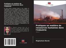 Buchcover von Pratiques en matière de ressources humaines dans l'industrie